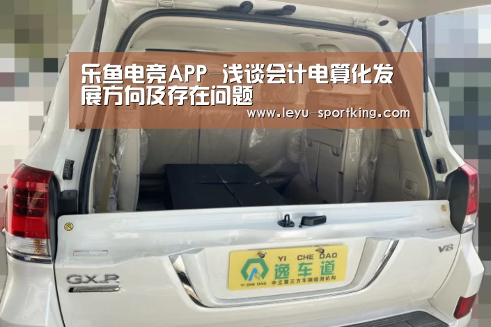 乐鱼电竞APP-浅谈会计电算化发展方向及存在问题(图1) 乐鱼电竞APP
